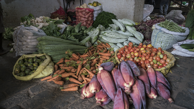 We need food, not tobacco – focus of World No Tobacco Day 2023